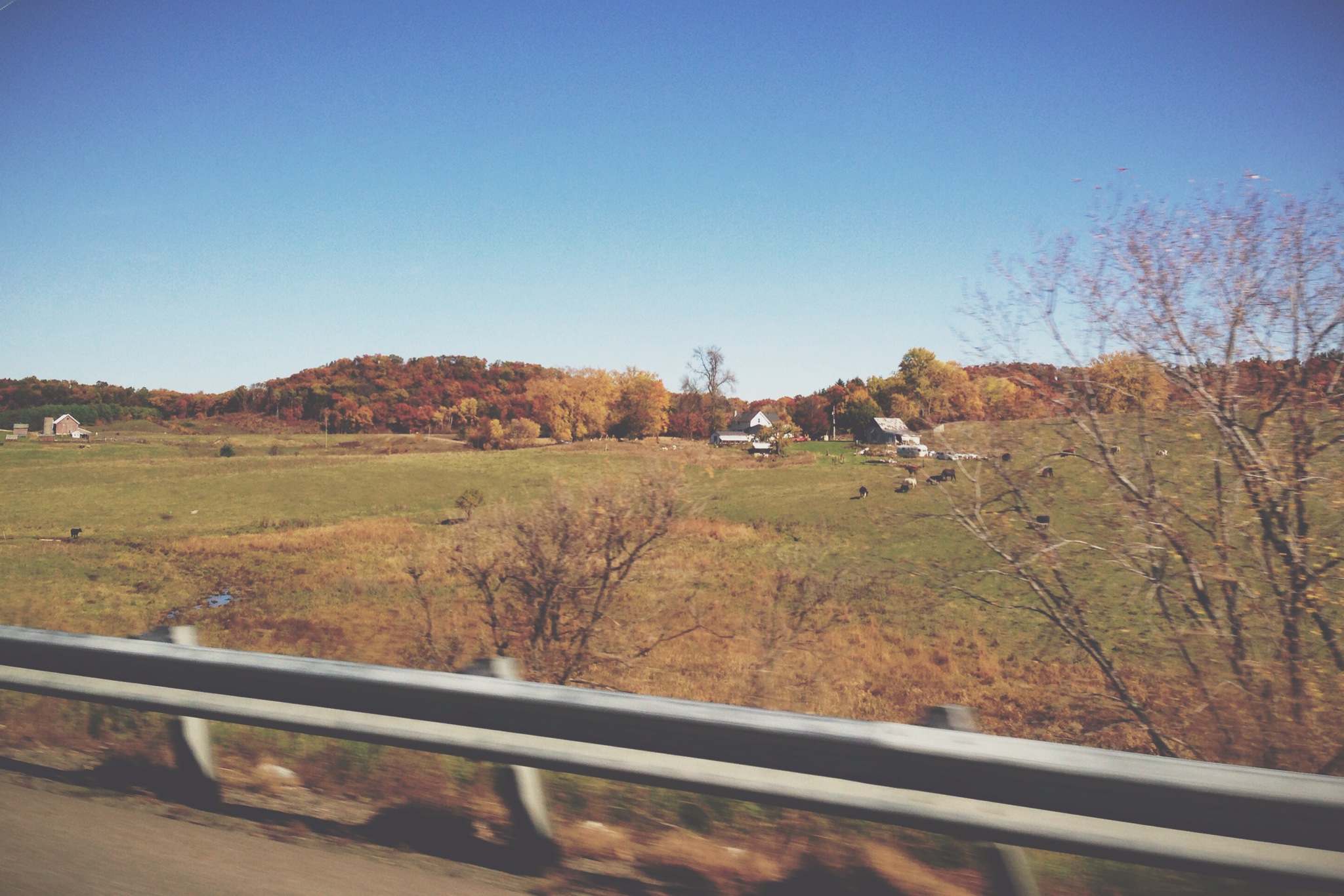 View from a car window… happy fall!